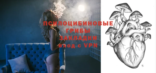 прущий лед Арсеньев