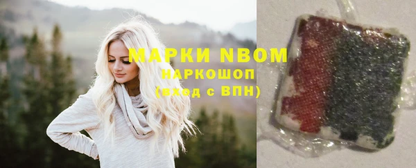 прущий лед Арсеньев