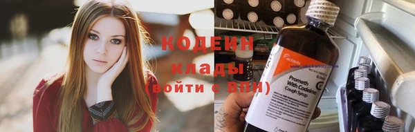 прущий лед Арсеньев