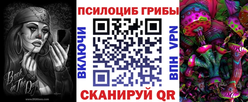 shop состав что такое Фролово Псилоцибиновые грибы MAGIC MUSHROOMS