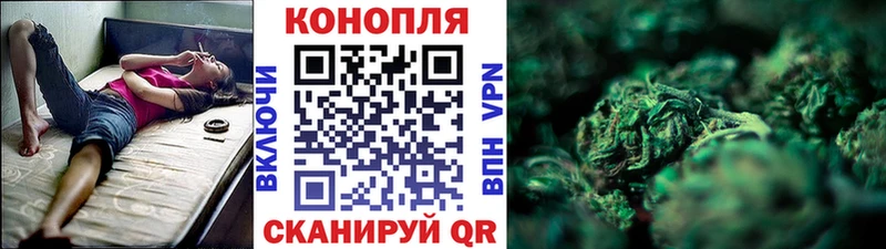 Шишки марихуана сатива  дарнет шоп  Фролово 
